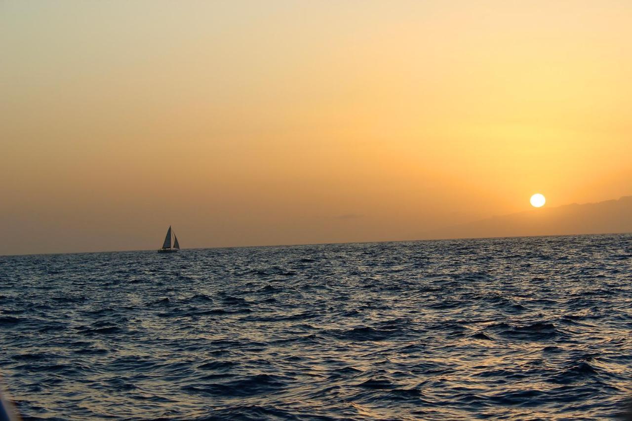 Garden City Premium - Full Seaview Playa Feñabe المظهر الخارجي الصورة